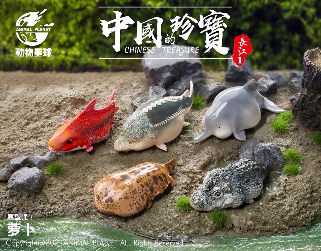 Animal Planet Original High-end Handmade Model Toys China's Treasures Yangko Avocado White Fin Dolphin White Sturgeon Boomer Play
