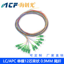 LC APC single mode 12 core 12 color pigtail line 9 125um fiber pigtail 15M