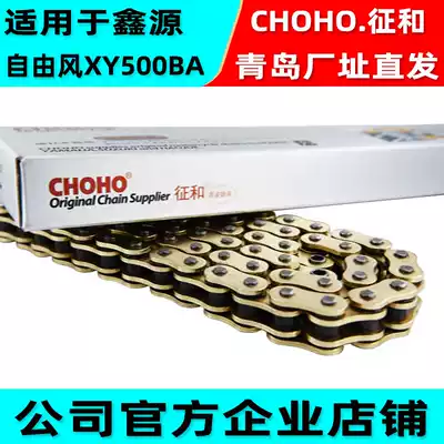 Suitable for Xinyuan Youfeng XY500BA side three-wheeled locomotive and silent reinforced oil seal golden chain
