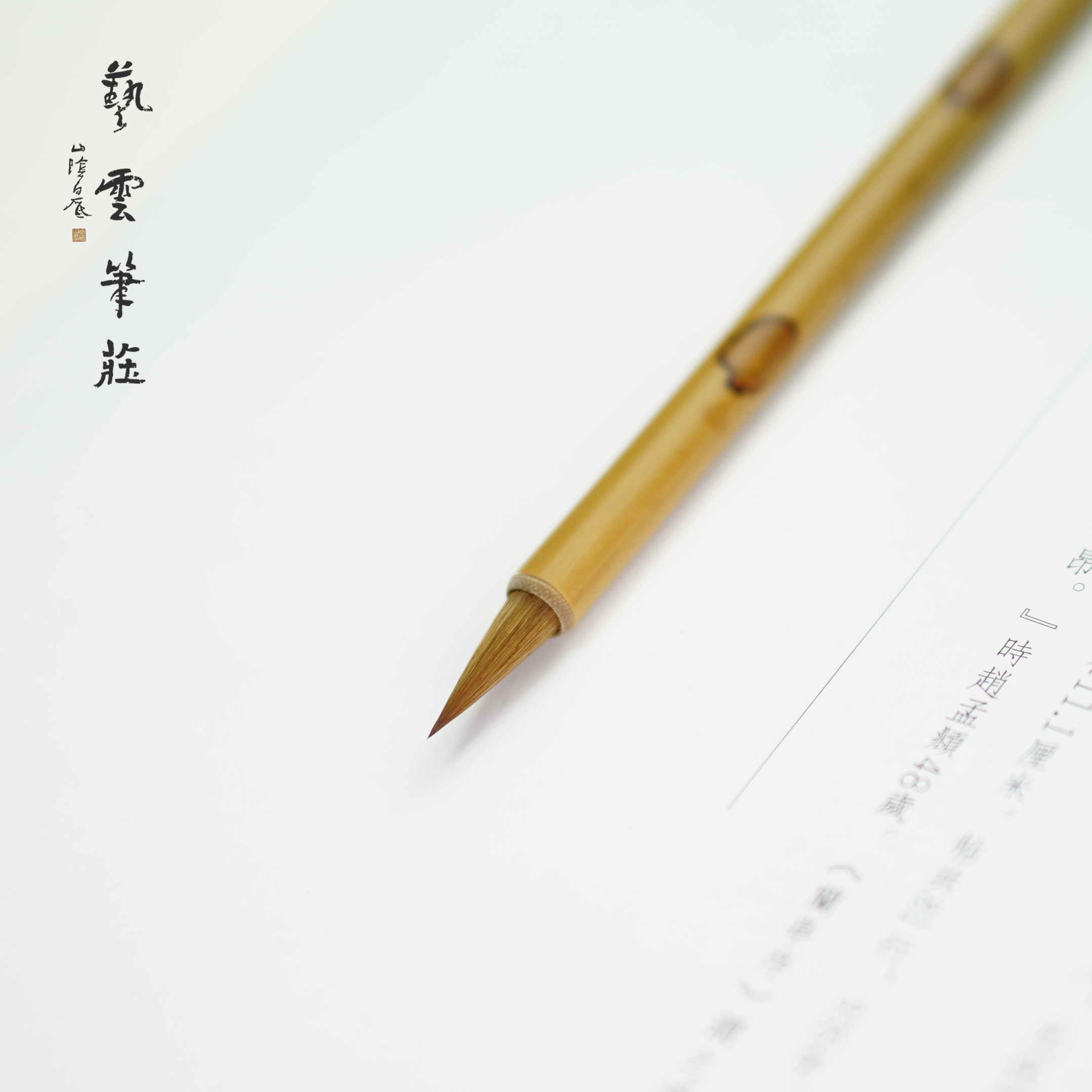 Yiyun Bizhuang North Tail Little Wolf Hair, Lang Hao, Hairpin, Copying Classics, Beginners, Calligraphy Brush, Small Letters