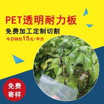 Endurance board Transparent sunshine board PET polyester resin outdoor canopy lighting board windproof and rainproof balcony rainproof board