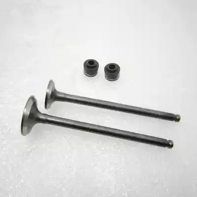 AF DIO54 55 Z4-56 57 61, 62, 63 period new valve valve valve oil seal