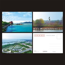 2024 Chaohu Lake Scenery Clouds Steaming Laoshan Wetland Birdsong City and Lake Symbiosis Postcards Extreme Films Can Be Made