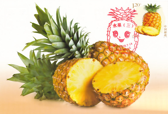 2018-18 Fruits (3) Pineapple Extreme Slices Postcards