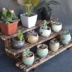 Cửa sổ gỗ rắn cửa sổ nhiều hoa nhỏ phòng ban công tích hợp giá đỡ nhiều lớp tiết kiệm không gian cửa sổ máy tính để bàn cây đứng hoa - Kệ mẫu kệ gỗ Kệ