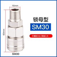 Самостоятельная мать SM30