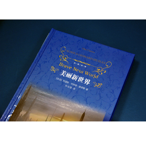 美丽新世界 赫胥黎二十世纪反乌托邦文学经典寓言小说社会学和人类学上海译文世界名著外国小说经典书籍小学生寒暑假推荐课外阅读