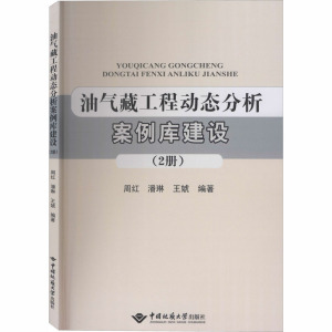 油气藏工程动态分析案例库建设 2册 正版书籍 新华书店旗舰店文轩官网 中国地质大学出版社