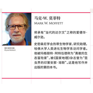 从部落到国家：人类社会的崛起、繁荣与衰落 马克W莫菲特 著 福布斯 人类文明 社会发展 世界通史 中信出版社图书 正版