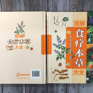 图解食疗本草大全 正版书籍 新华书店旗舰店文轩官网 化学工业出版社