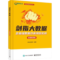 (Xinhua Wenxuan) Swordsman pointed at big data Enterprise-level data warehouse project practice Financial leasing version Genuine books Xinhua Bookstore flagship store Wenxuan official website Electronic Industry Press