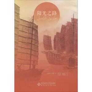 阳光之路 (卡塔尔)阿里·本·加尼姆·哈吉里 正版书籍小说畅销书 新华书店旗舰店文轩官网 北京师范大学出版社