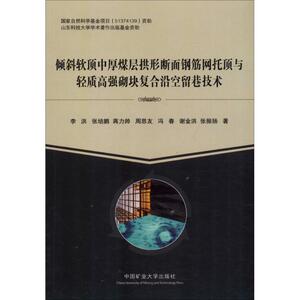 倾斜软顶中厚煤层拱形断面钢筋网托顶与轻质高强砌块复合沿空留巷技术 李洪 等 正版书籍 新华书店旗舰店文轩官网