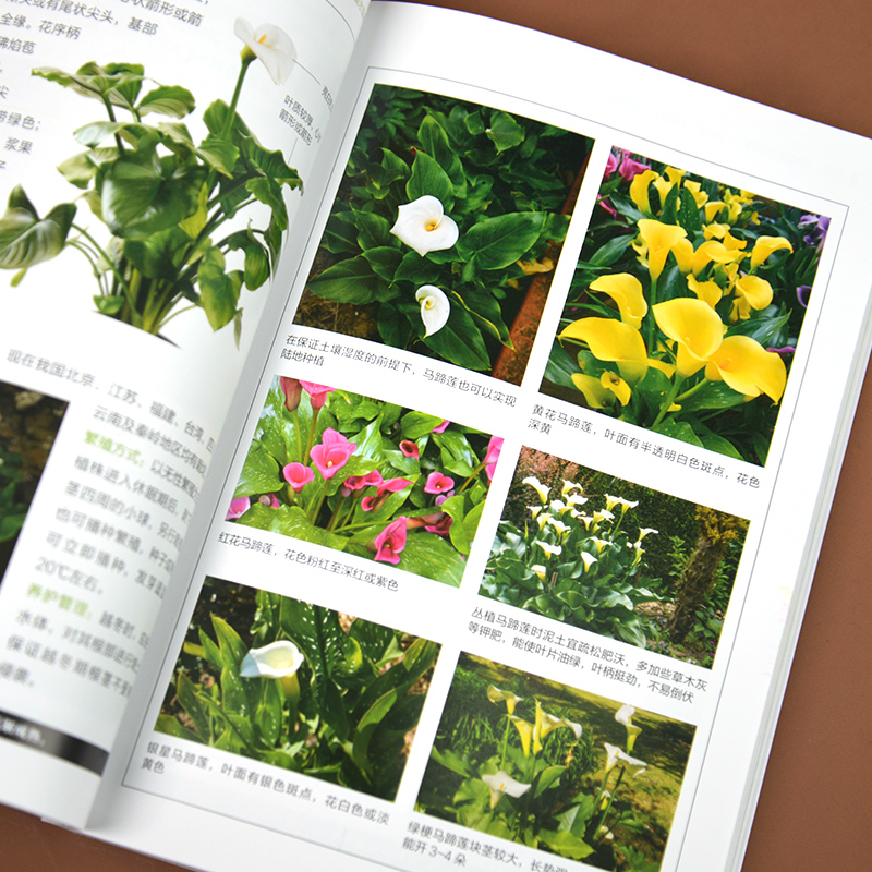 Aquatic Plants of China、中国水生植物図鑑 Aquatic Plants of China、中国水生植物図鑑 水生植物-ルーラル