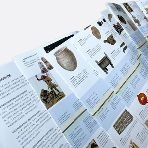 中外5000年文明互鉴 中国画报出版社 正版书籍 新华书店旗舰店文轩官网