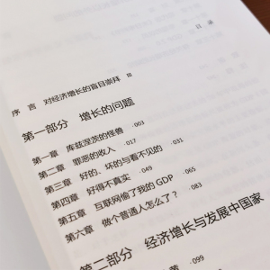 增长的错觉 经济学家错了吗? (美)戴维·皮林(David Pilling) 中信出版社 正版书籍 新华书店旗舰店文轩官网