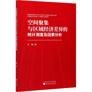 空间聚集与区域经济差异的统计测度及因素分析 庄赟 经济科学出版社 正版书籍 新华书店旗舰店文轩官网