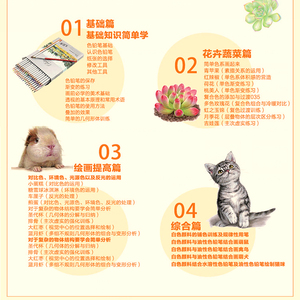 绘唯美 色铅笔写实绘画技法彩色铅笔画零基础人门教程材自学手绘本插画书籍 动物美食色铅笔绘画技法宝典