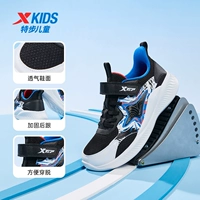 Черная/прусская синяя секретная сеть