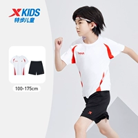 Песчаник красный