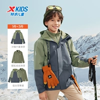 Shacha Green 9168 [набор из двух частей]