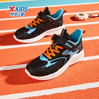 Черный/чистый синий секретный сеть