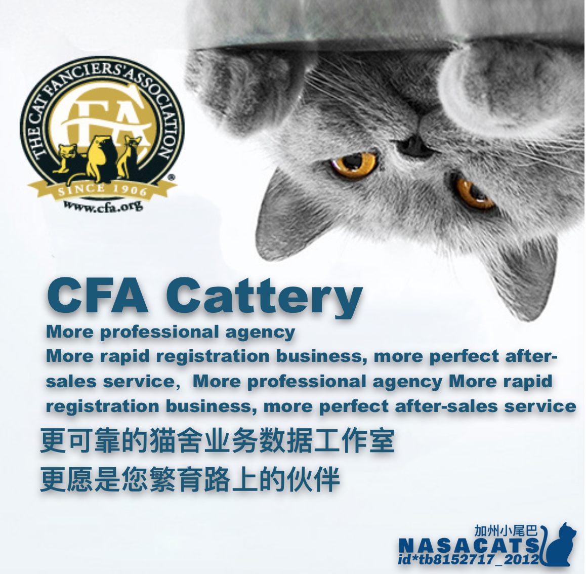 [USD 180.71] Registered CFA CFA CFA Cat House Certificate Registration