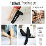 Брендовые демисезонные леггинсы