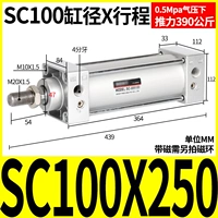 Стандартный цилиндр SC100*250