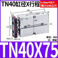 Двухосевой цилиндр TN40X75-S