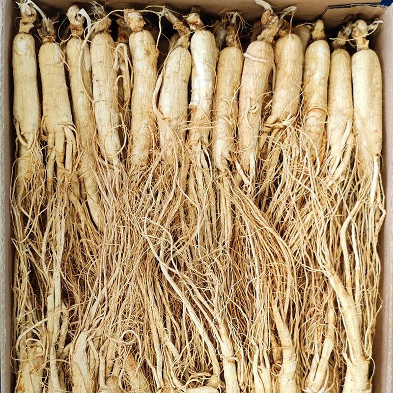 Changbai Mountain ginseng wine stew soup nourishing dry ginseng raw ginseng 500g white ginseng non-forest ginseng garden ginseng red ginseng foot dry