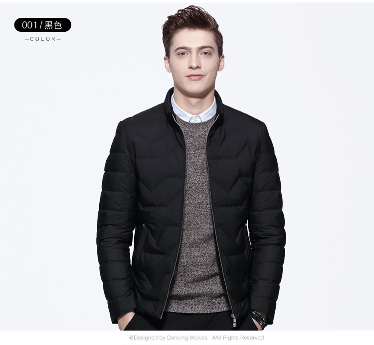 Blouson homme D WOLVES     - Ref 3122781 Image 13