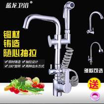 Kitchen tap hot and cold multifunction tap with spray gun with spray head washing vegetable basin Home sink Water cage head double head