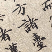 Ink Bing Fei Jing A4 rice paper color painting 9 single copybooks