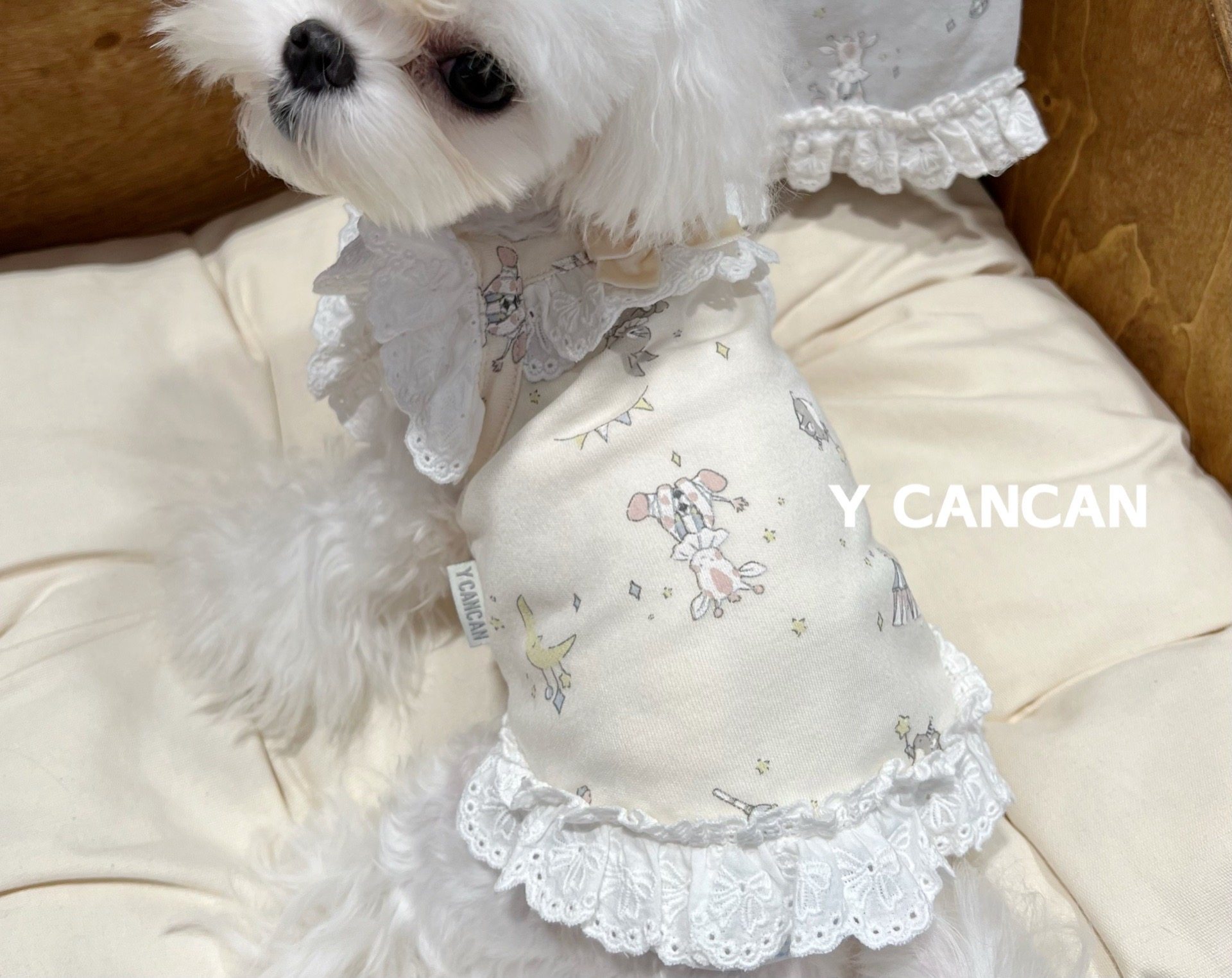 YCANCAN 秋冬限定可爱蕾丝加绒背心保暖宠物家居服马尔济斯衣服