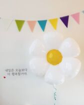 Korea ins Wind Flower balloon aluminum film sunflower photo props baby childrens birthday party decoration