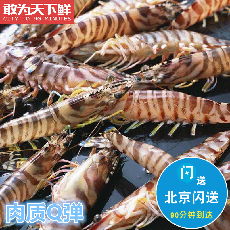 250g Beijing flashes live seafood base Shrimp Fresh Aquatic Live Shrimp Bright Shrimp Nine Known Shrimp Bamboo Festival Shrimp