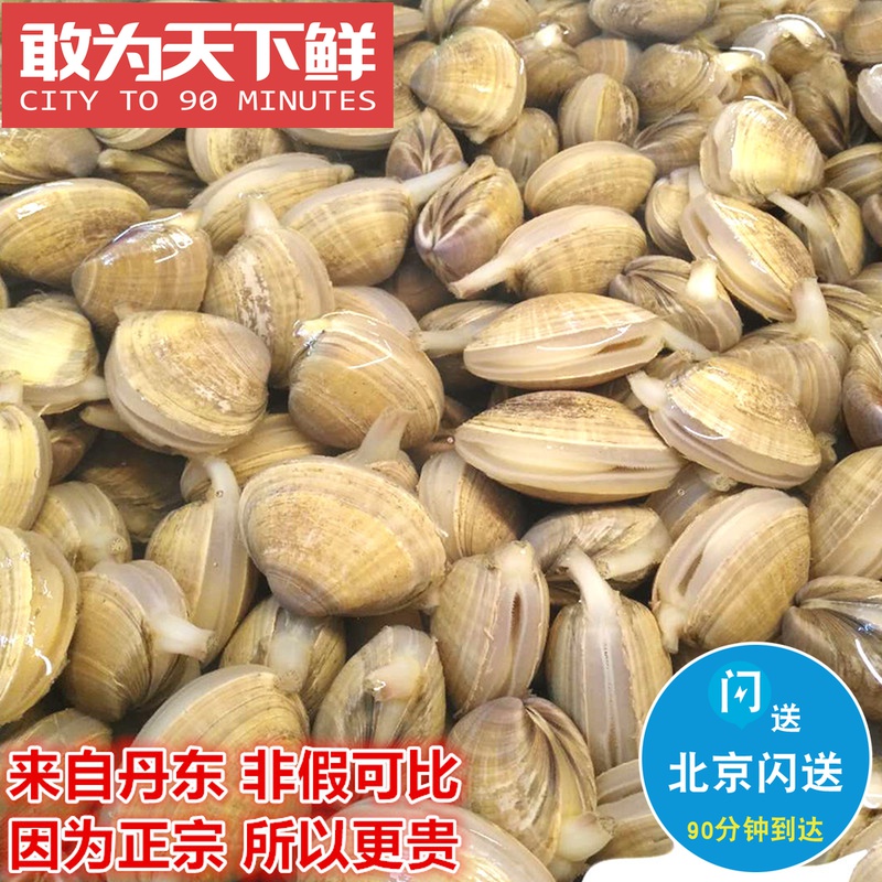 500g Beijing Flash Delivers Dandong Special Fresh Yellow Clam Fresh Seafood Shellfish Aquatic Clams