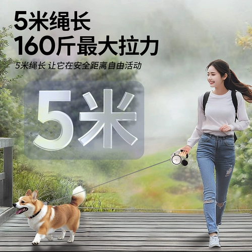 Автоматический выдвижной поводок для домашних собак, цепочка для выгула средних, больших и маленьких собак 𫔀 Тедди Корги Бишон специальный