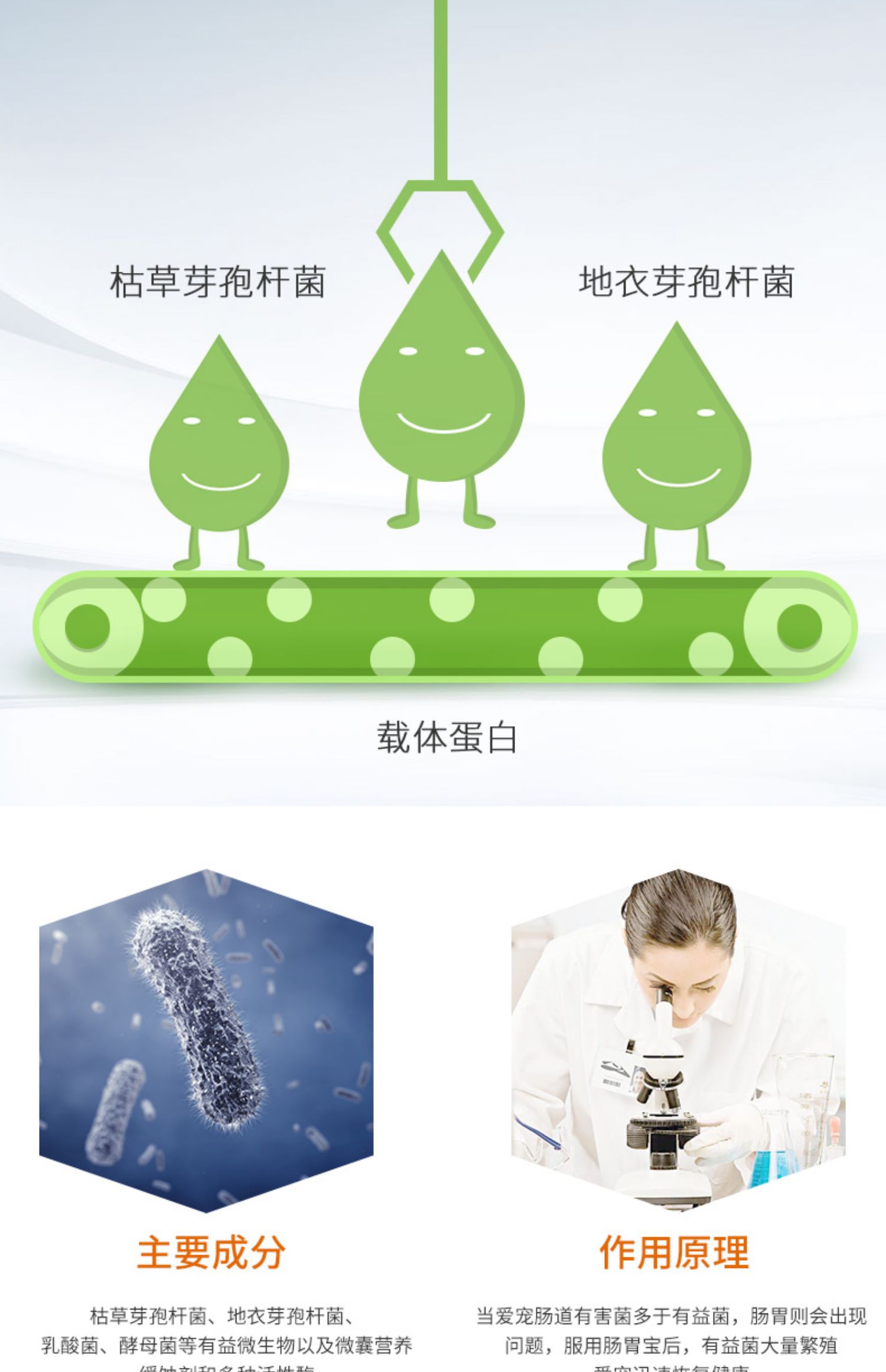 Thú cưng nhỏ, dạ dày, mèo, men vi sinh, chó, điều hòa, dạ dày, tiêu hóa, nôn mửa, mèo cưng, chó con đặc biệt - Cat / Dog Health bổ sung 	sữa cho mèo con sơ sinh