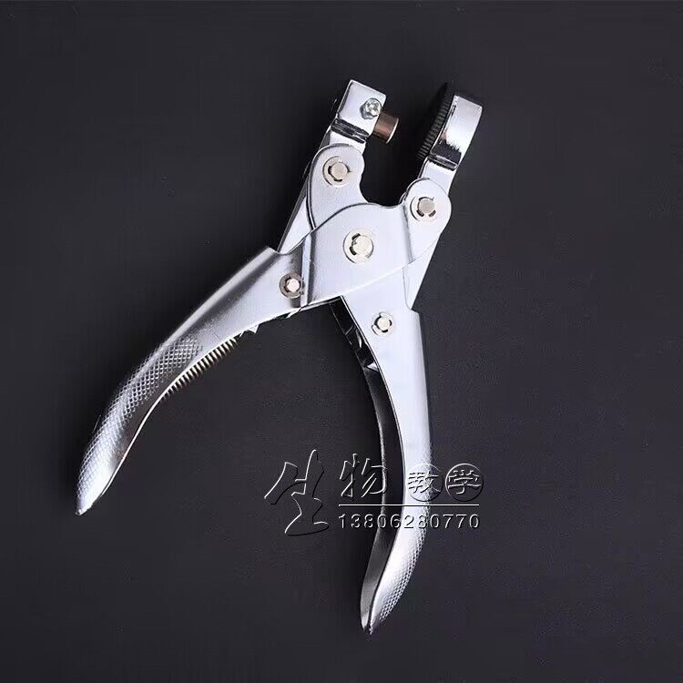 小鼠耳片打耳器 大鼠耳肿打耳器 老鼠耳朵打孔器 鼠打洞器 6mm8mm