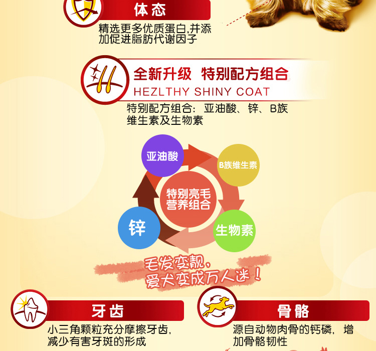 Baolu thức ăn cho chó dog staple thực phẩm vừa có kích thước nhỏ mục đích chung dành cho người lớn dog Teddy bear thịt bò hương vị 10 kg 500 gam * 10 gói thức an cho chó giá rẻ