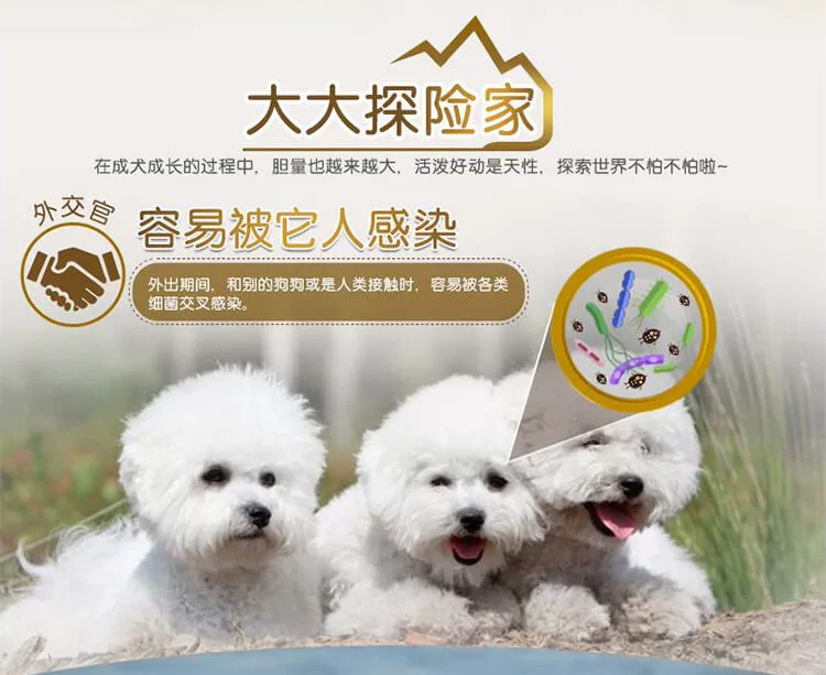 Baolu Gold Dog Thức ăn chính Teddy Bison VIP Hương vị thịt bò nhỏ và vừa Tổng hợp 2kg * 2 pate cho chó