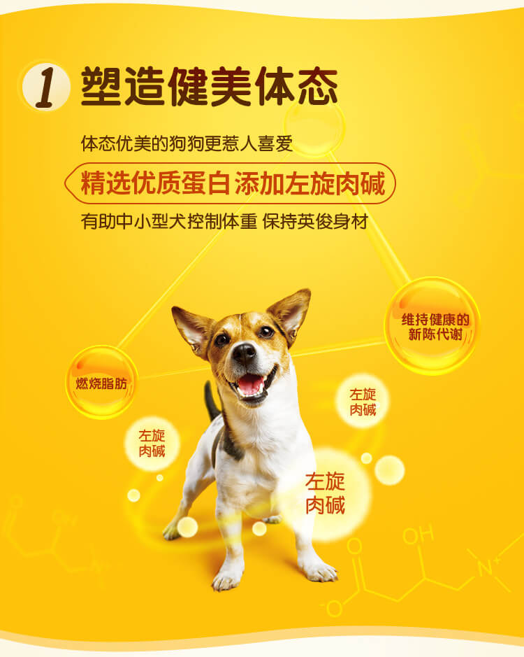 宝路 中小型成犬专用 牛肉味狗粮 10斤 图3