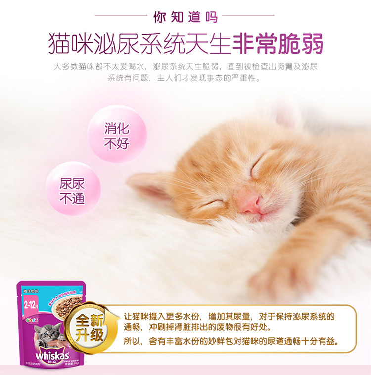 Weijia mèo ăn nhẹ mèo ướt thực phẩm mèo ăn nhẹ mèo con mèo ướt thực phẩm tuyệt vời gói tươi hydrat hóa nhiều loại hương vị tổng cộng 12 gói - Đồ ăn nhẹ cho mèo hạt anf cho mèo
