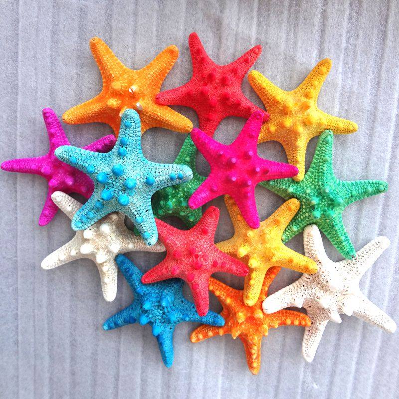 promotion natural starfish specimen dyed vietnamese starfish resin starfish home decor mediterranean