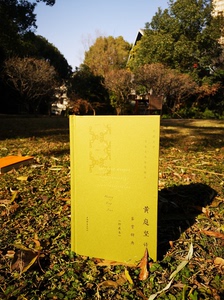 黄庭坚诗文鉴赏辞典珍藏本中国文学名家名作鉴赏精华 春风一杯酒江湖夜雨十年灯且看宋诗大家黄山谷诗意人生黄庭坚山谷词江西诗派