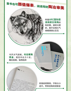 沈石溪臻奇动物小说文集力量卷 残狼灰满 犬王麦穗 7-9-12-15岁儿童文学书籍小学生三四五六年级课外阅读推荐书籍 少年儿童出版社