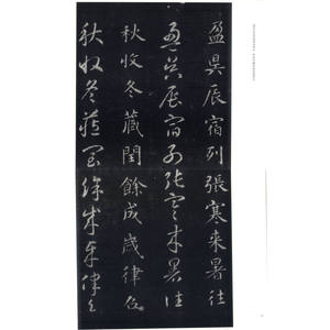 智永真草千字文碑 赵力光 编 书法学习经典教材 书法碑帖 篆刻字帖 正版图书籍 上海古籍 世纪出版