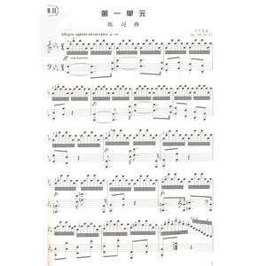 【高等师范院校+附光盘】钢琴修教程4 谢哲邦主编 音乐专业钢琴普修课程练习曲乐谱奏鸣曲等 世纪音乐 世纪出版